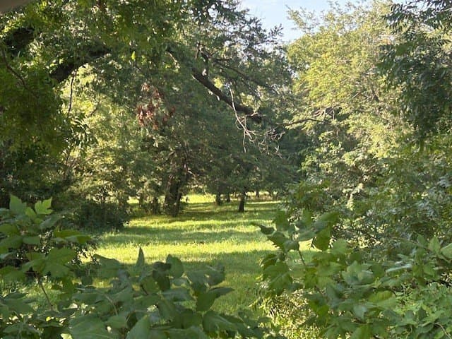 7 acres in Grayson County - photo 18