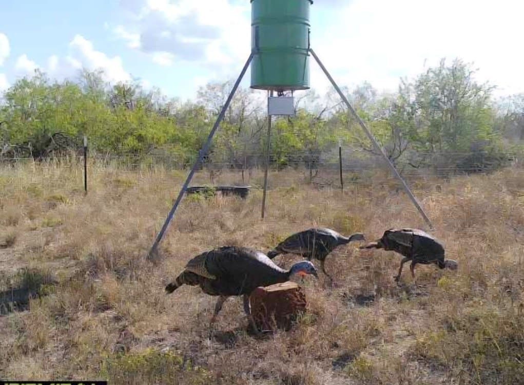 10.21 acres in Texas County gallery image 2