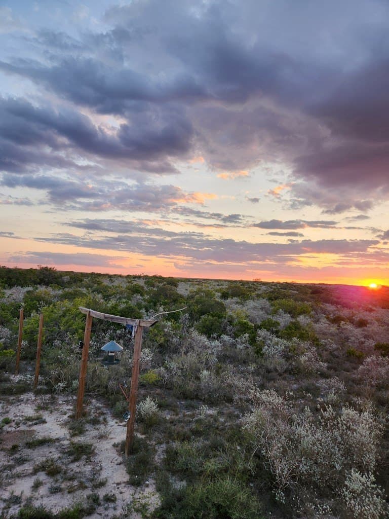 10.21 acres in Texas County - photo 7