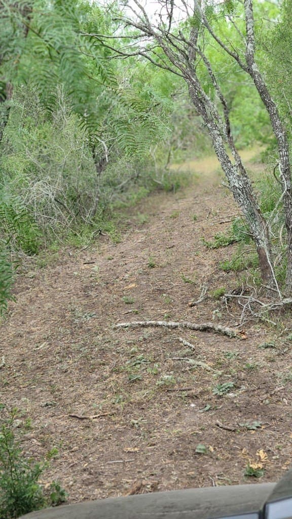 10.21 acres in Texas County gallery image 3