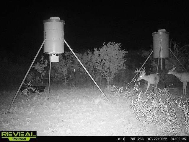 10.21 acres in Texas County - photo 8