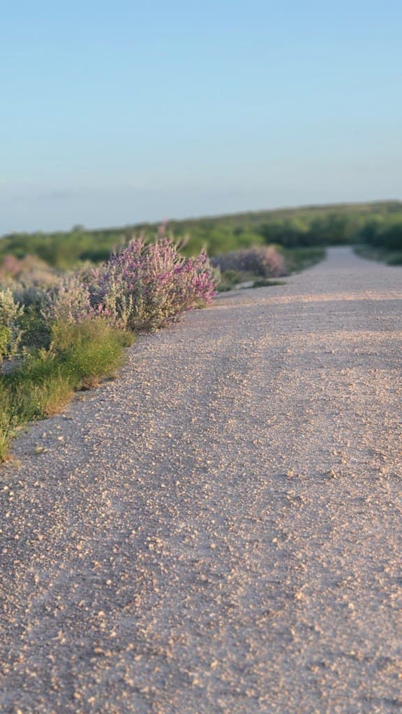 10.21 acres in Texas County featured view