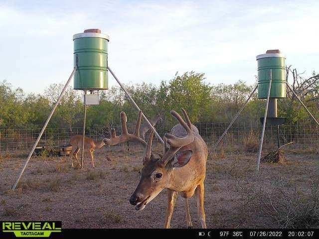 10.21 acres in Texas County