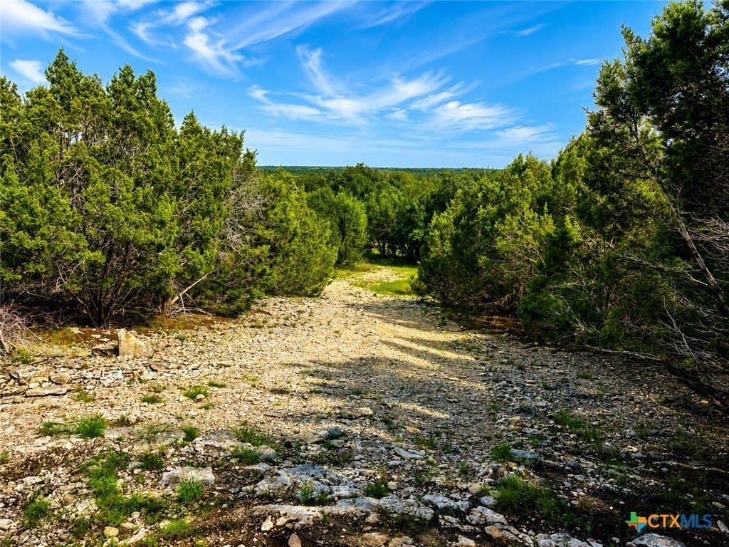 25 acres in Burnet County - photo 6