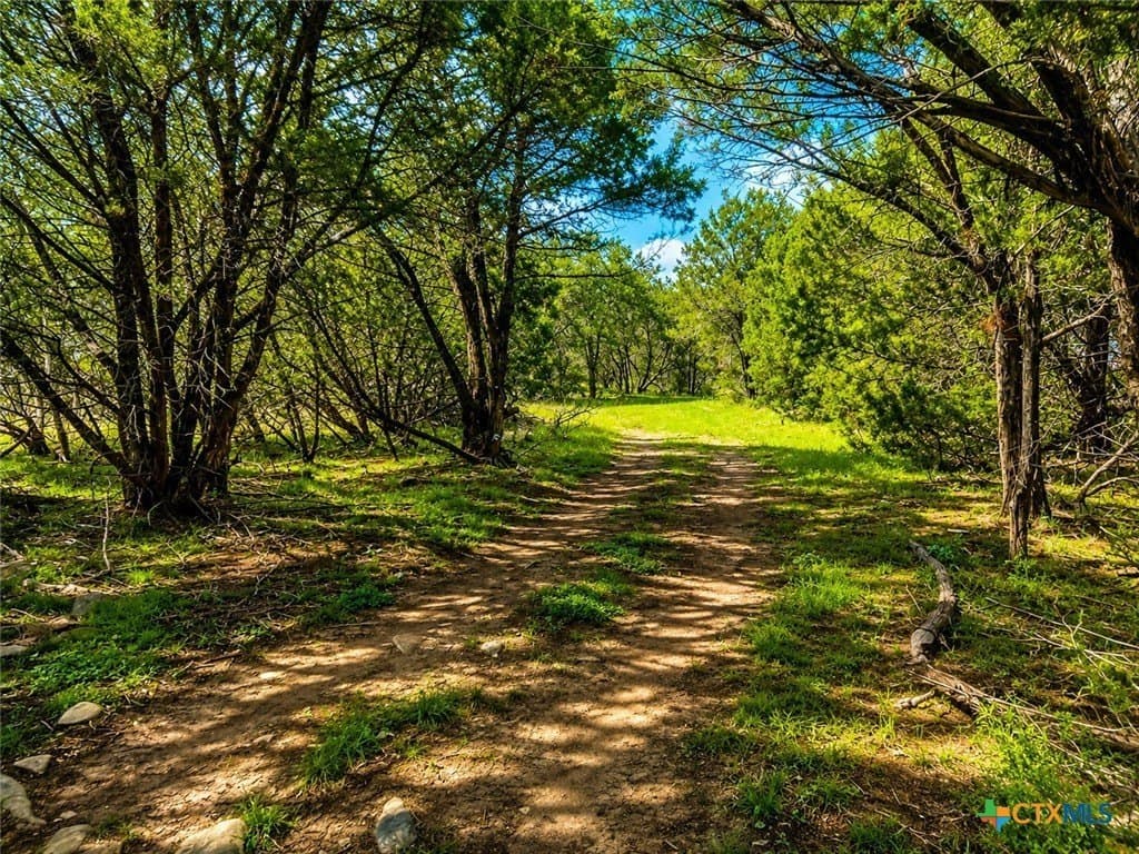 25 acres in Burnet County gallery image 3