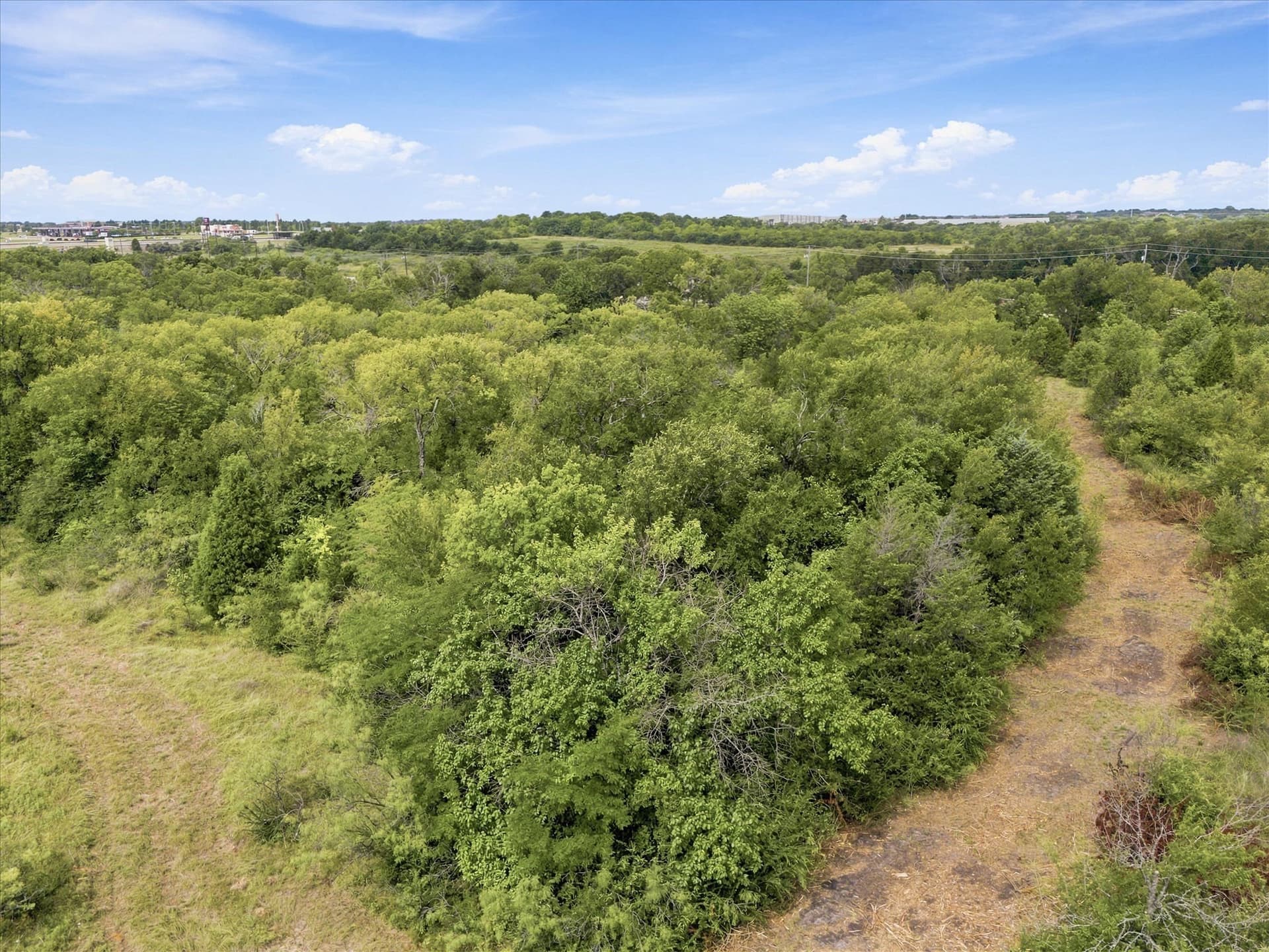 39.86 acres in Dallas County - photo 11