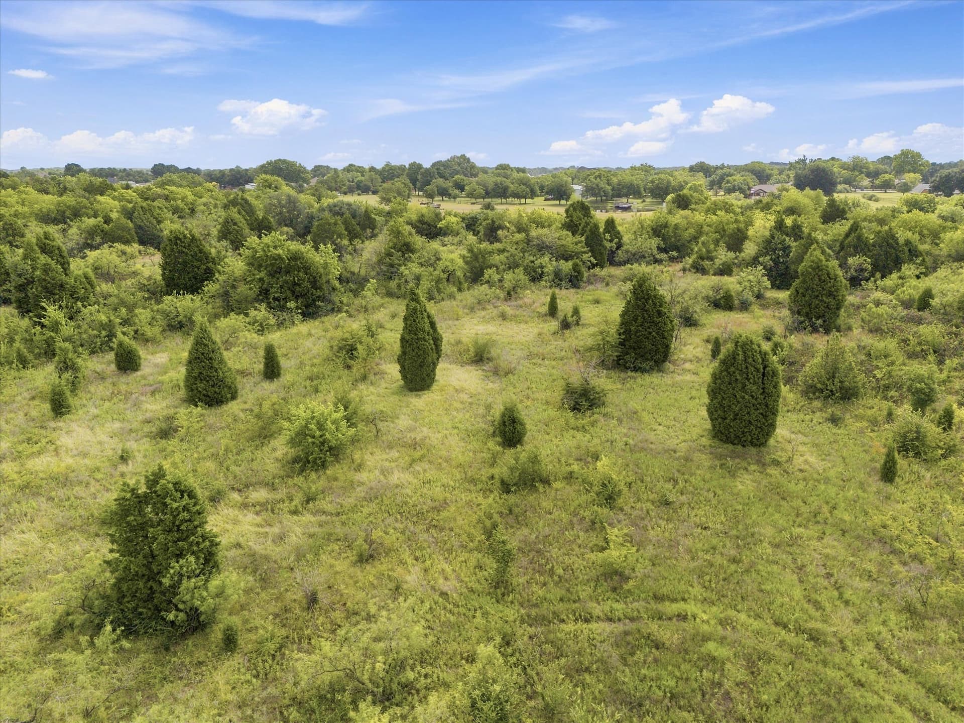 39.86 acres in Dallas County - photo 12
