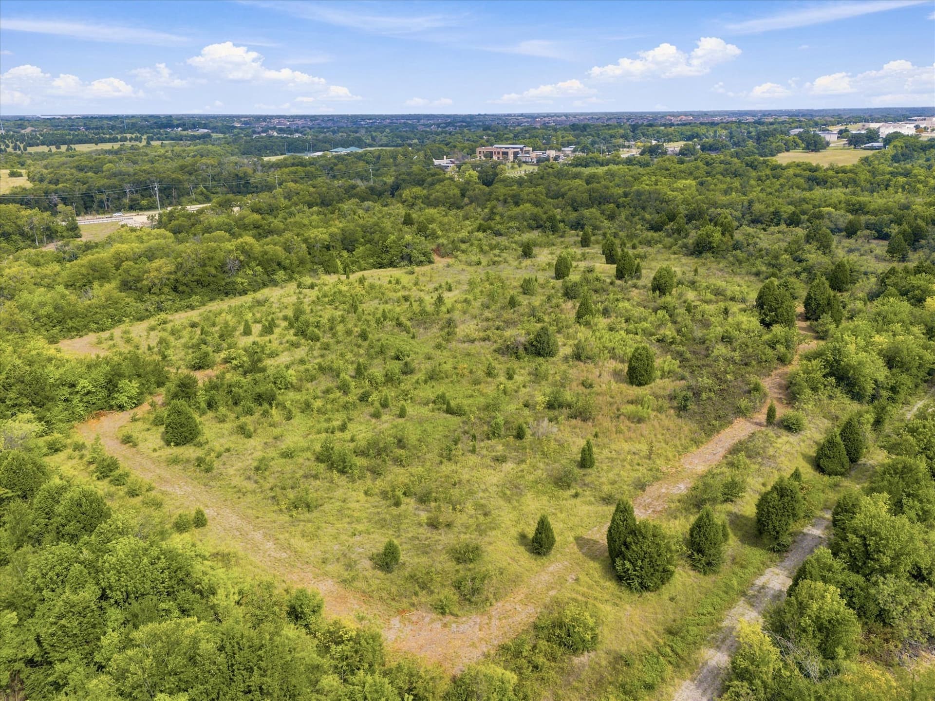 39.86 acres in Dallas County - photo 16