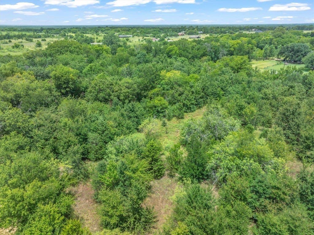 4.02 acres in Van Zandt County - photo 6