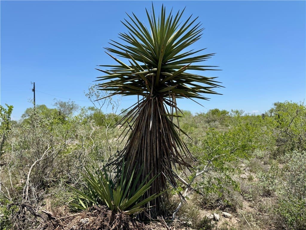 27.02 acres in Duval County - photo 12
