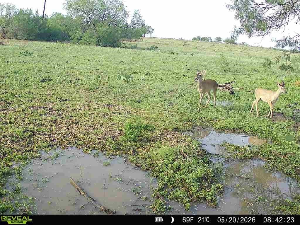 27.02 acres in Duval County - photo 35