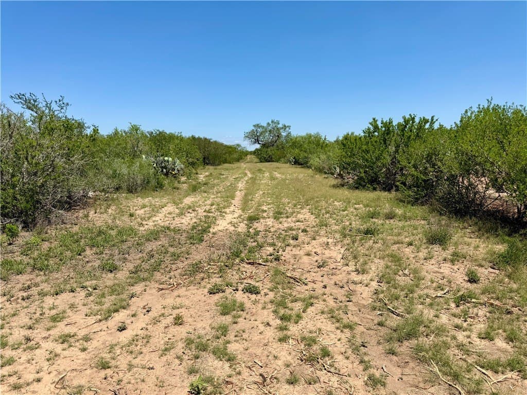 27.02 acres in Duval County - photo 14