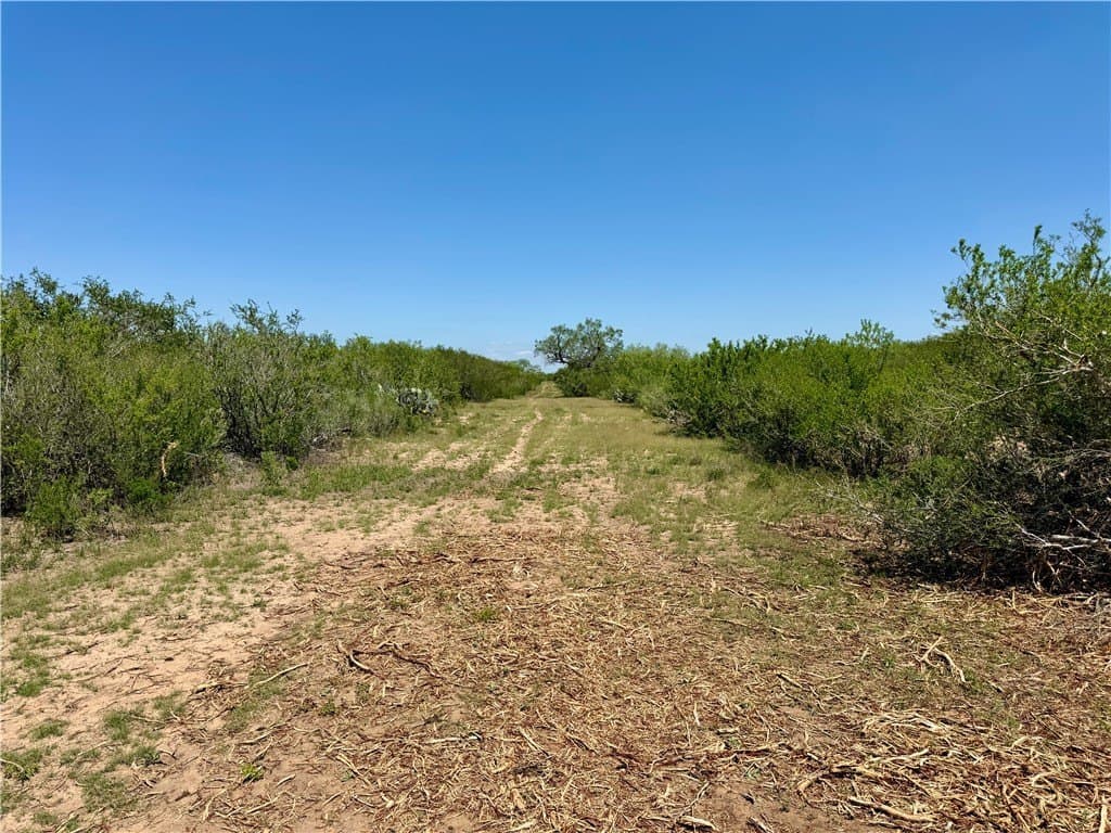 27.02 acres in Duval County - photo 9