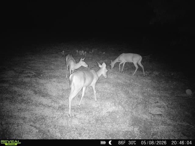 27.02 acres in Duval County - photo 31