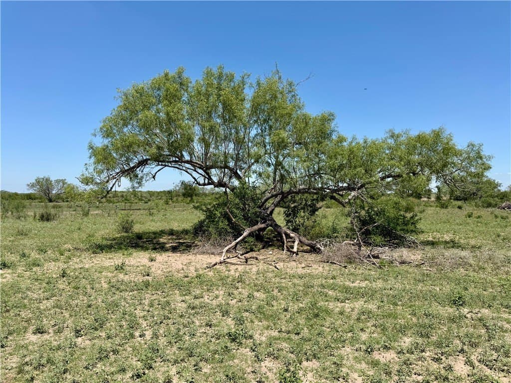 27.02 acres in Duval County featured view