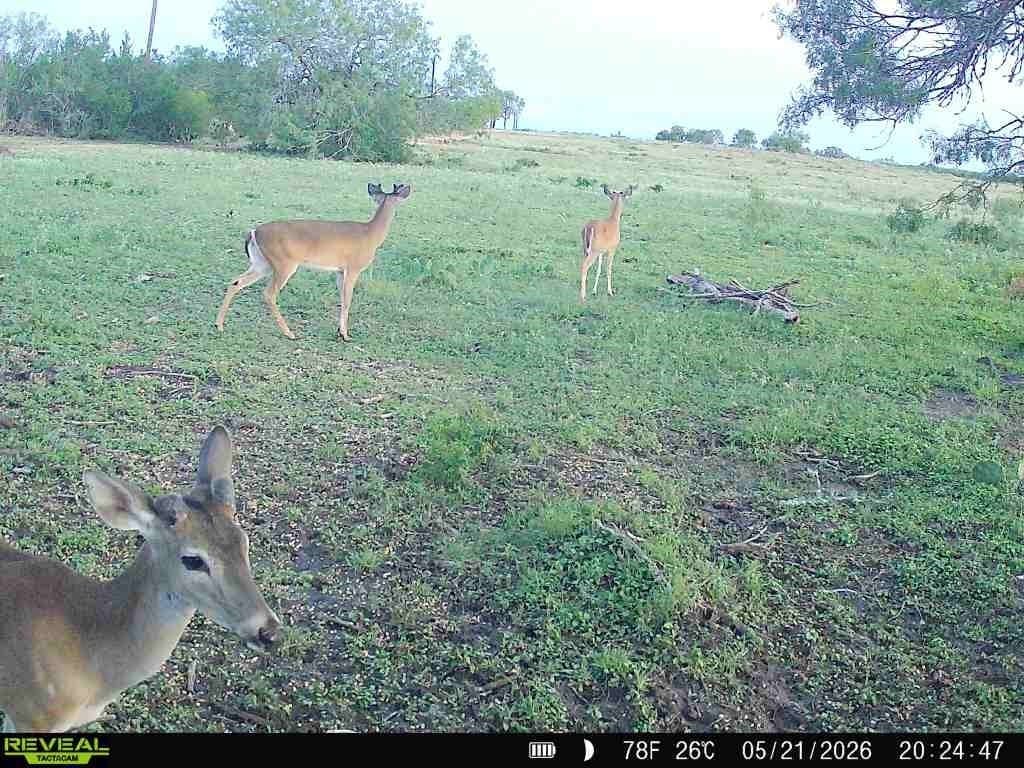 27.02 acres in Duval County - photo 29