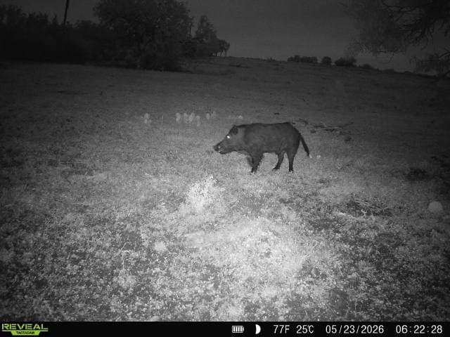 27.02 acres in Duval County - photo 15