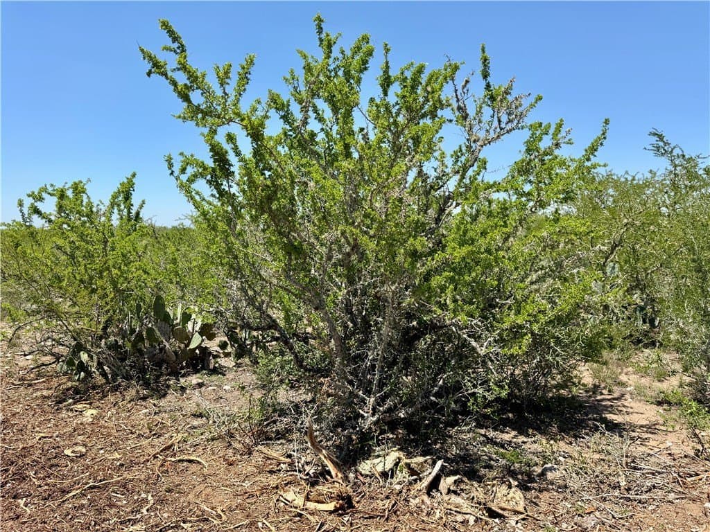 27.02 acres in Duval County - photo 32