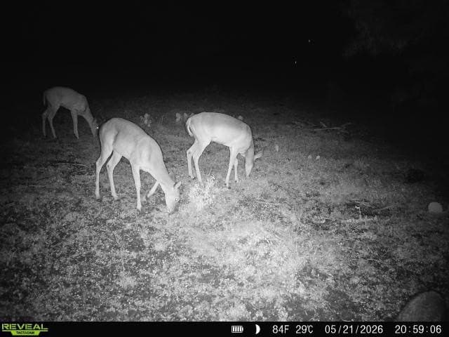 27.02 acres in Duval County - photo 17