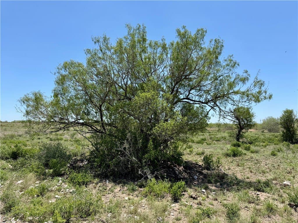 27.02 acres in Duval County - photo 34