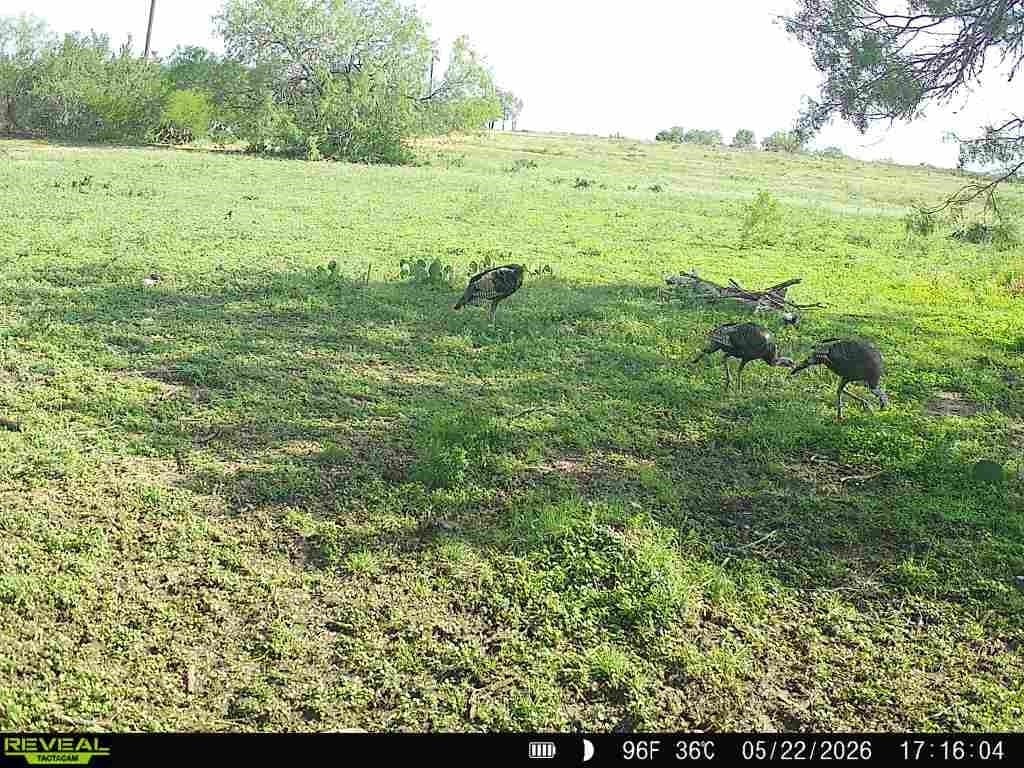 27.02 acres in Duval County - photo 23
