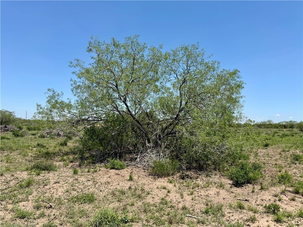 27.02 acres in Duval County - photo 40