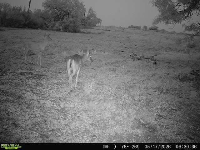 27.02 acres in Duval County - photo 33