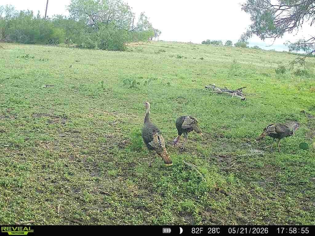 27.02 acres in Duval County - photo 37