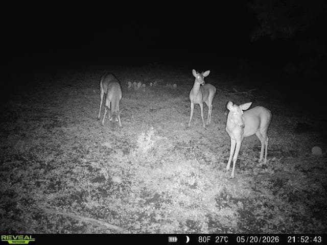 27.02 acres in Duval County - photo 13