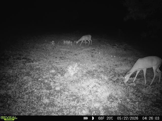 27.02 acres in Duval County - photo 27