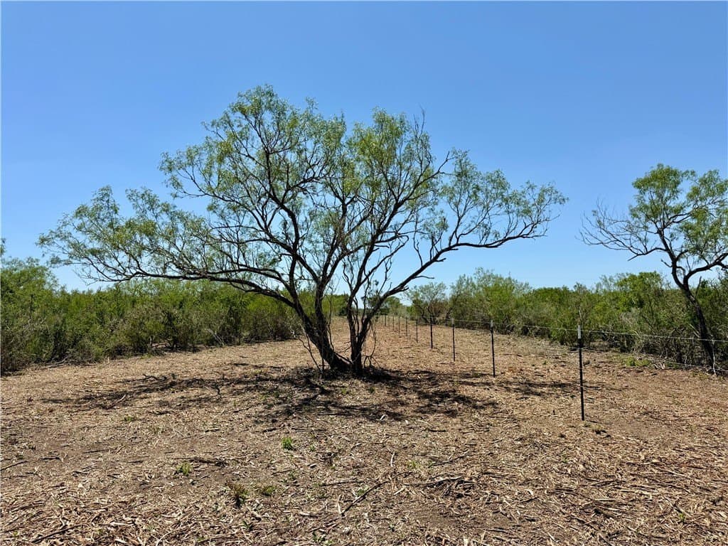 27.02 acres in Duval County - photo 28
