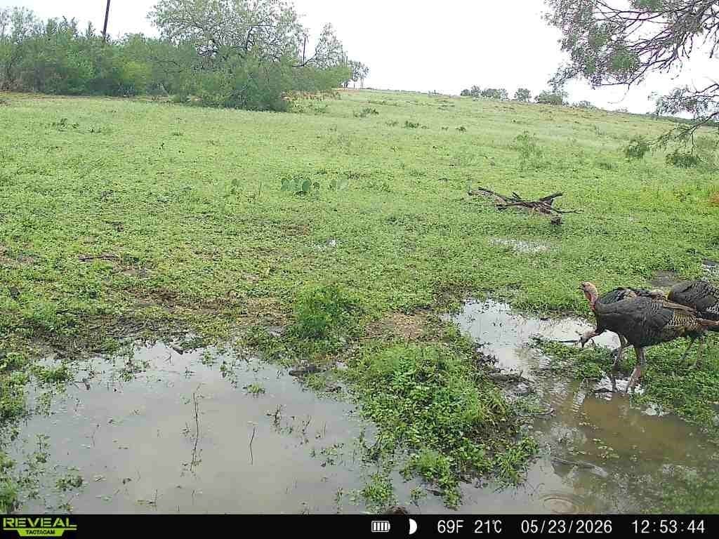 27.02 acres in Duval County - photo 8