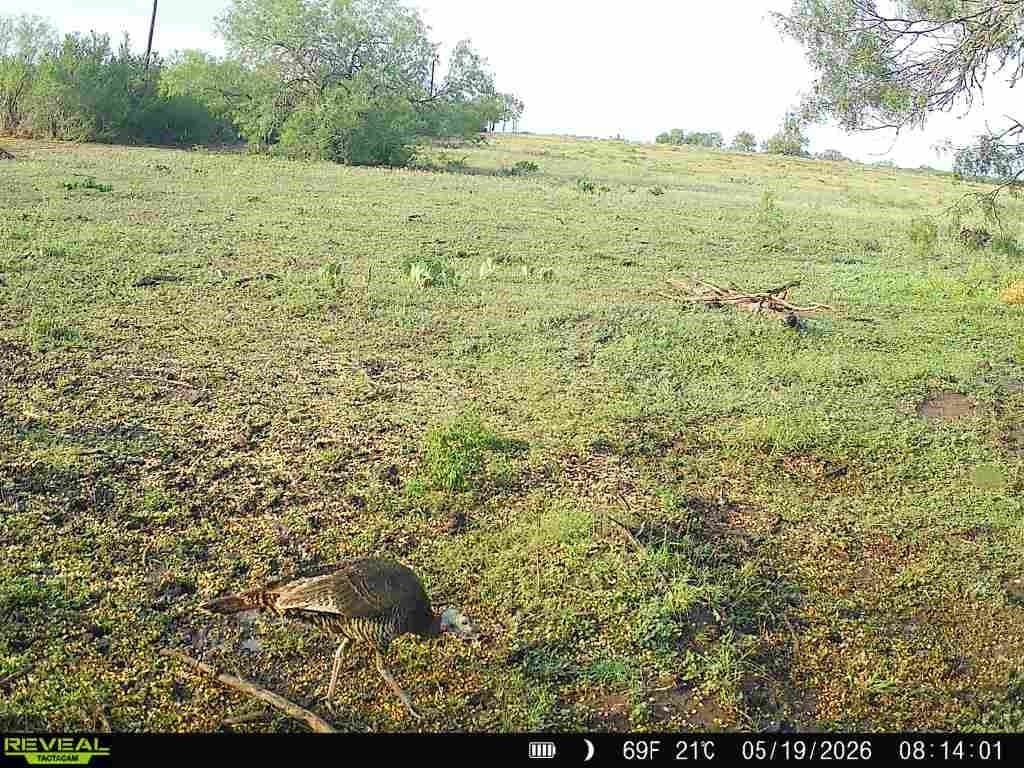27.02 acres in Duval County - photo 19