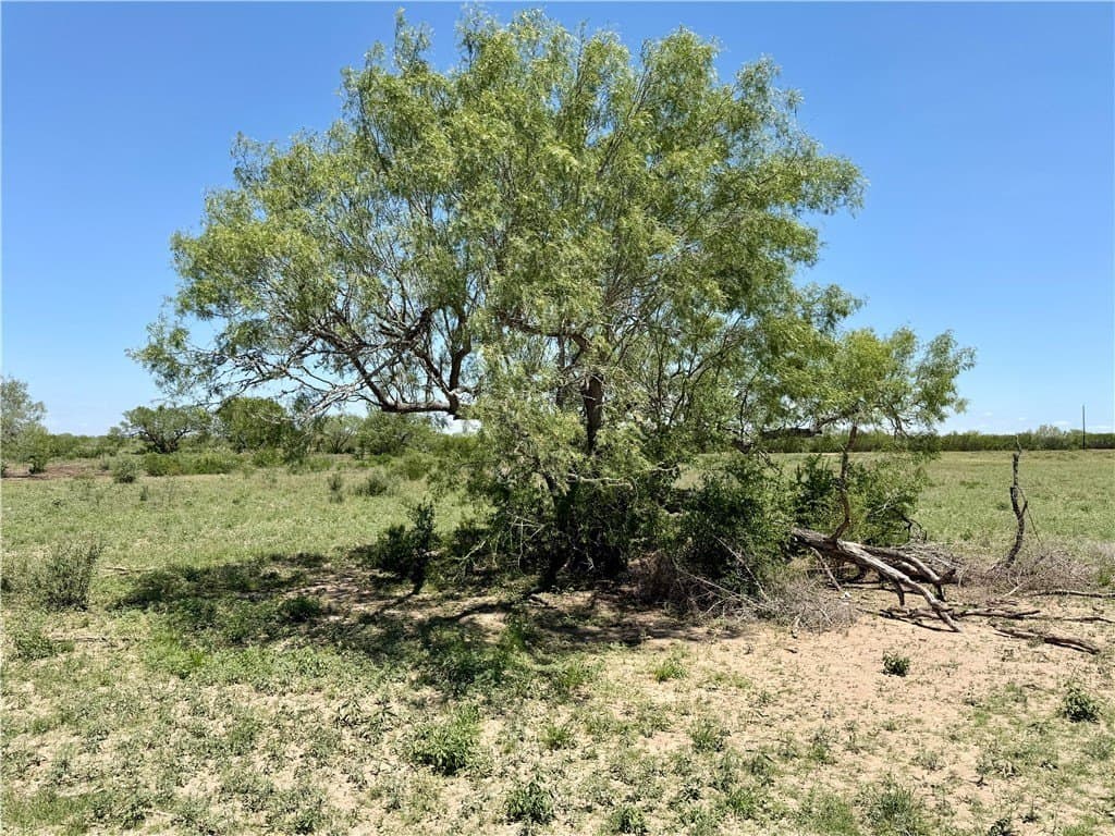 27.02 acres in Duval County - photo 36