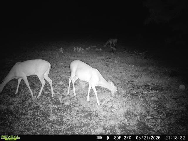 27.02 acres in Duval County - photo 6
