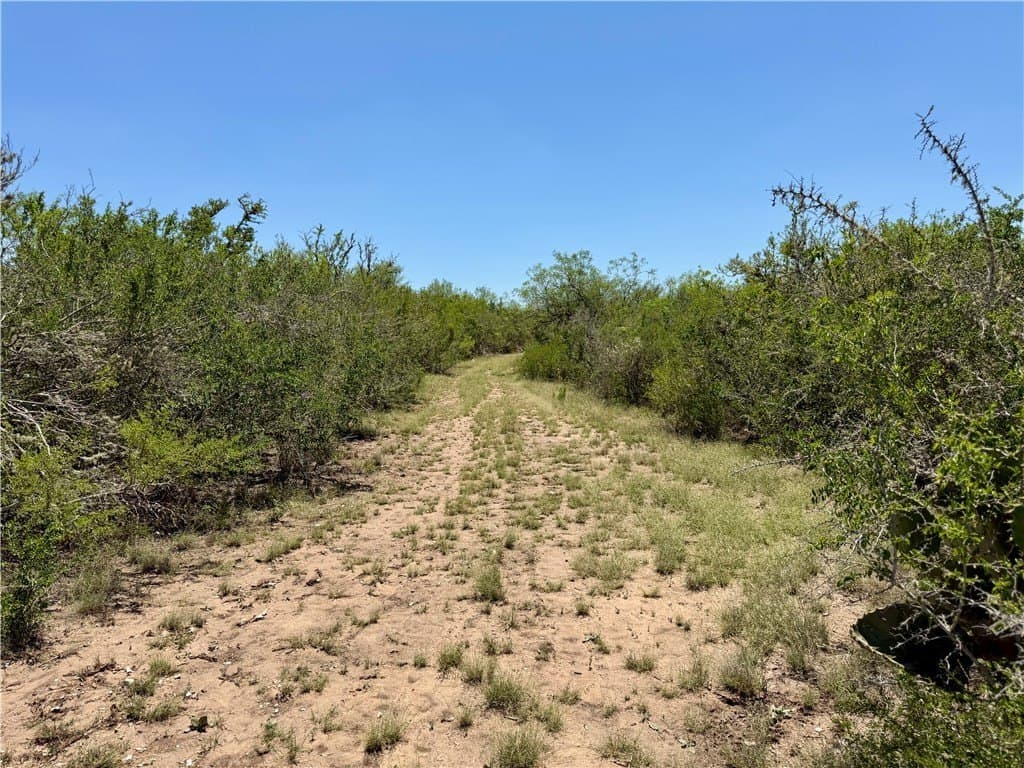 27.02 acres in Duval County - photo 24