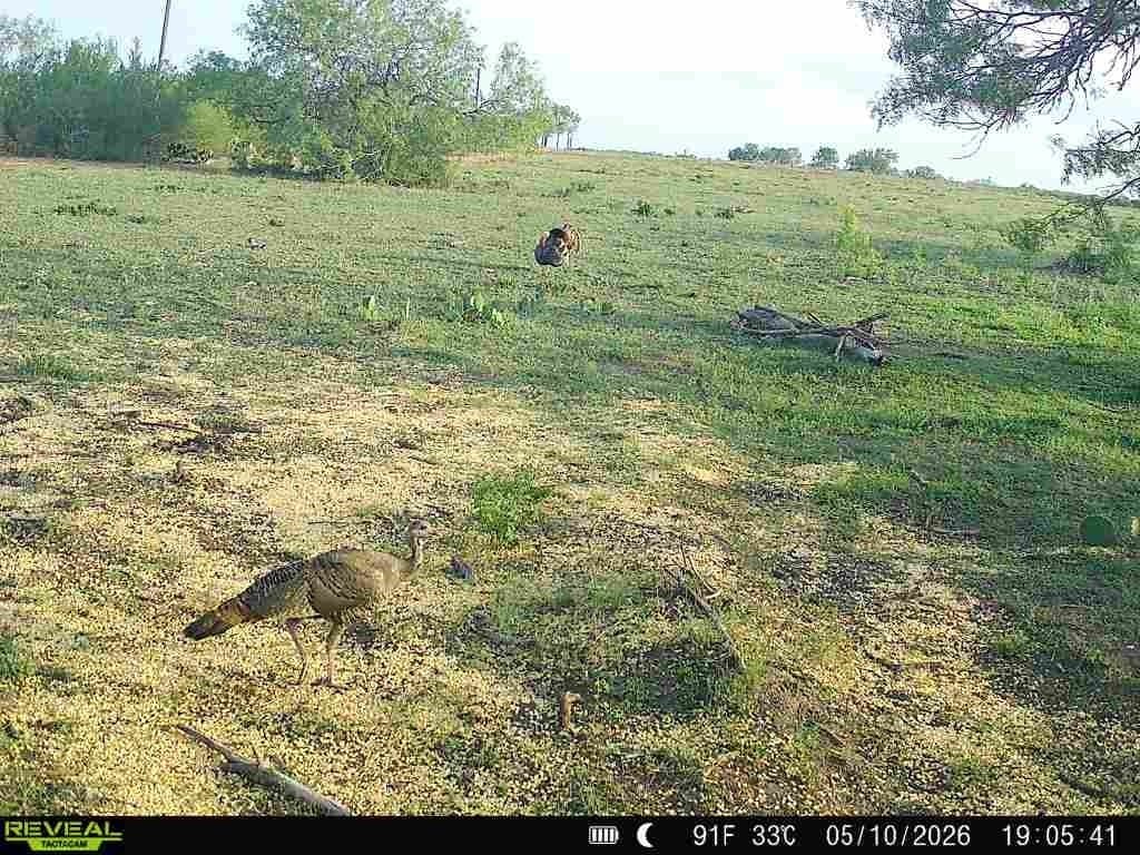 27.02 acres in Duval County - photo 39