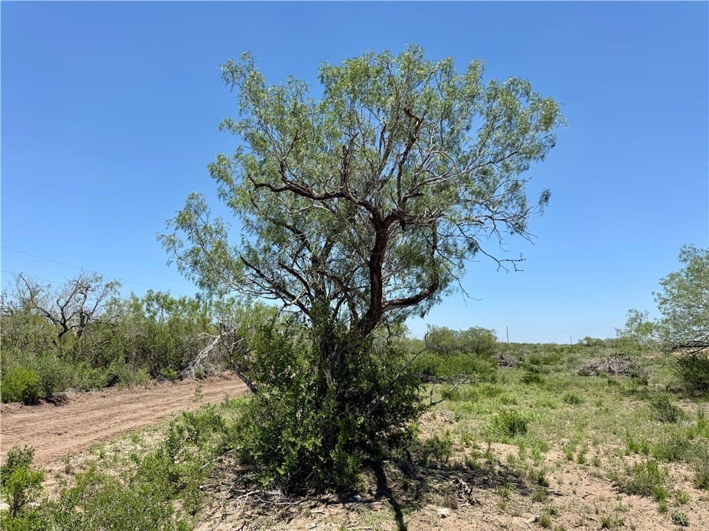 27.02 acres in Duval County - photo 38