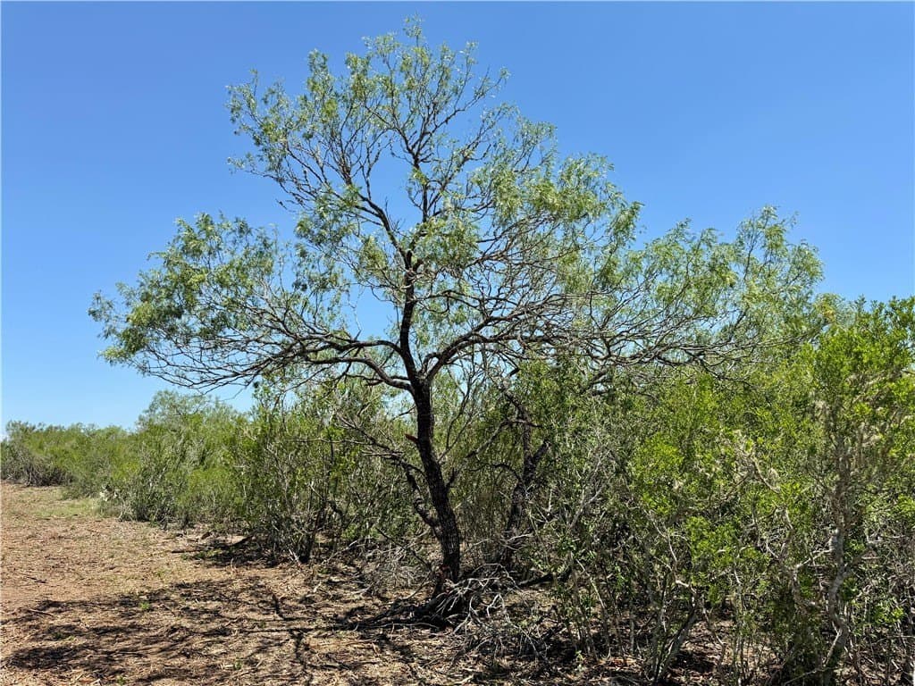27.02 acres in Duval County - photo 7
