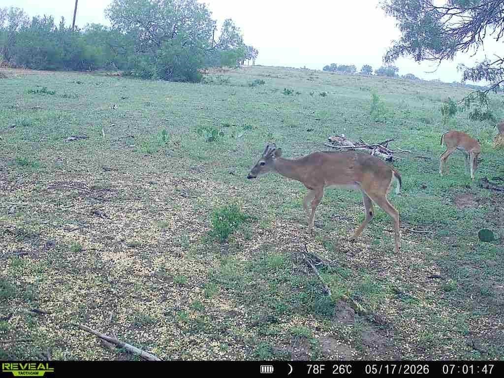 27.02 acres in Duval County - photo 10