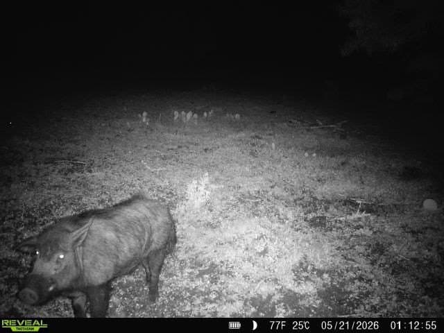 27.02 acres in Duval County - photo 25