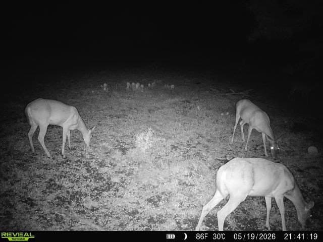 27.02 acres in Duval County - photo 21