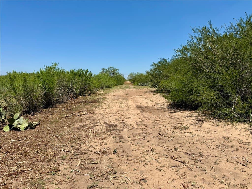 27.02 acres in Duval County - photo 16