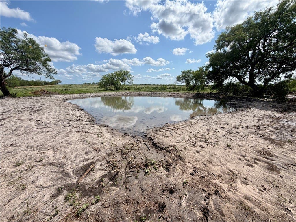 27.02 acres in Duval County gallery image 3