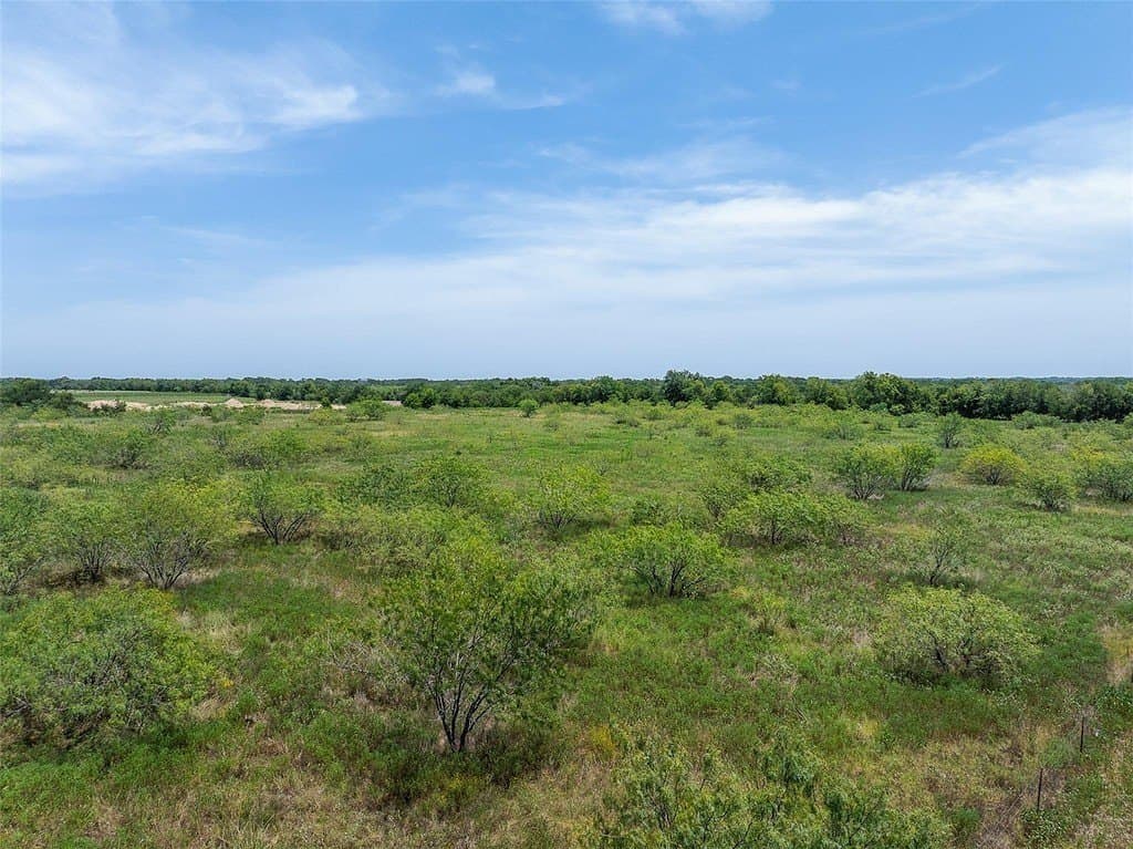 10 acres in Limestone County - photo 7