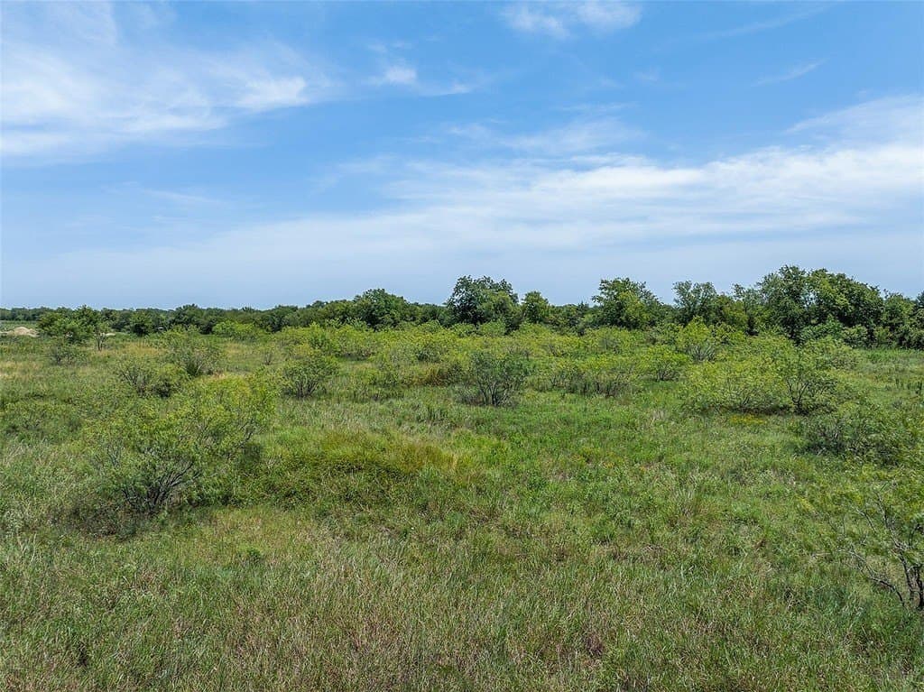 10 acres in Limestone County - photo 9