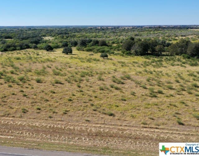 20 acres in DeWitt County gallery image 2