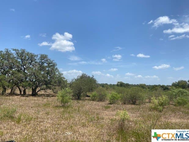 20 acres in DeWitt County gallery image 4