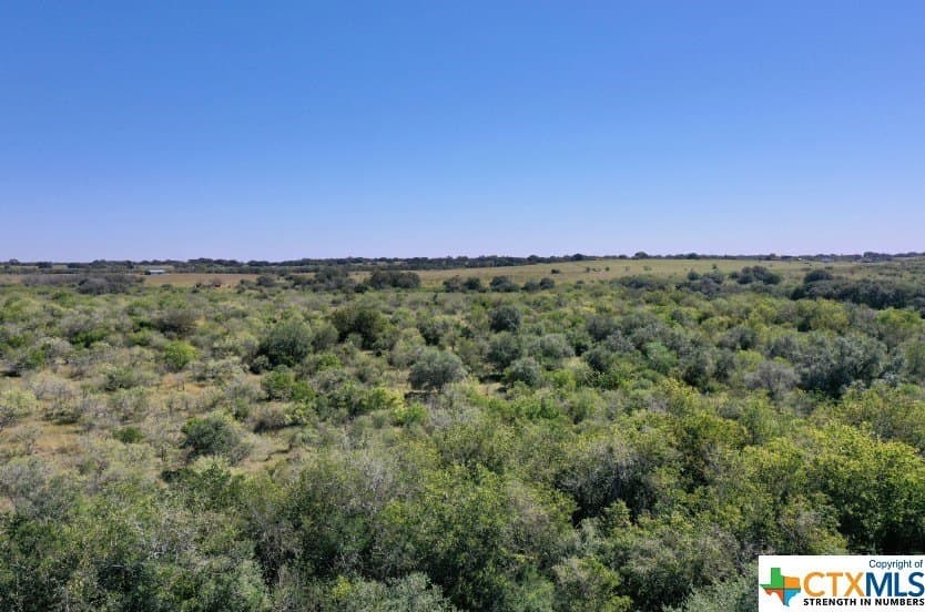 20 acres in DeWitt County gallery image 3