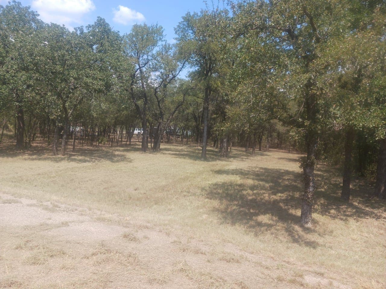 0.25 acres in Wise County